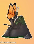 anthro male solo flashquatsch rey_(flashquatsch) arthropod butterfly butterfly_furry insect lepidopteran monarch_butterfly hi_res