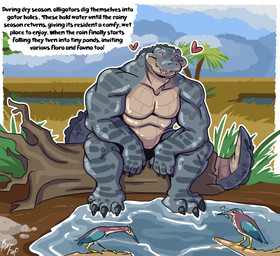 anthro avian_feet beak biped claws closed_smile clothed clothing day eyes_closed feathered_wings feathers feral grass group heart_symbol log male male_focus mouth_closed muscular muscular_arms muscular_male outside pecs plant sharp_teeth sitting smile solo_focus standing teeth text toe_claws topless topless_male water wings wood fuf alligator alligatorid aquatic avian bird crocodilian fish reptile scalie 2023 english_text hi_res