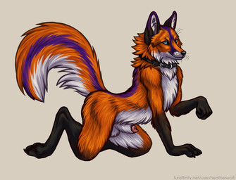 all_fours animal_genitalia anthro balls black_collar black_nose blue_eyes collar fur genitals glistening glistening_eyes glistening_nose gloves_(marking) leg_markings looking_at_viewer male male_anthro markings mouth_closed orange_body orange_fur penis penis_tip purple_markings red_penis sheath side_view simple_background socks_(marking) solo white_balls white_body white_fur white_sheath heatherwolf canid canine fox mammal
