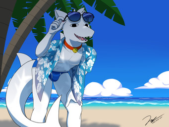 5_fingers anthro beach bell bell_collar bent_over biped black_eyes blue_clothing blue_underwear bulge clothing cloud collar colored_seam_briefs colored_seam_underwear eyewear fingers fur male palm_tree pattern_clothing pattern_shirt pattern_topwear plant sea seaside sharp_teeth shirt sky smile solo sunglasses swimming_in_underwear tail teeth topwear tree underwear water white_body james_foster cocoshark_(hacony) aquatic fish furred_fish furred_shark shark 2025 4:3 absurd_res hi_res