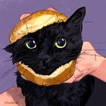 ambiguous_gender big_eyes bread duo feral feral_focus food fur purple_background simple_background solo_focus tuft whiskers catwheezie domestic_cat felid feline felis human mammal 1:1 absurd_res hi_res meme redraw signature