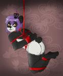 anthro bdsm bondage bound male nude restraints rope rope_bondage rope_harness solo submissive submissive_male suspension madkaichi kaishi bear giant_panda mammal hi_res