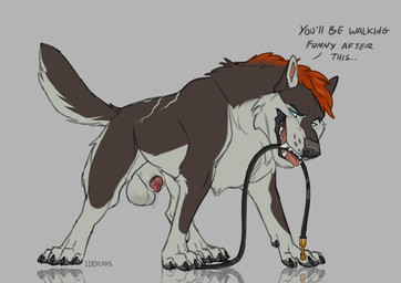 animal_genitalia animal_penis balls bared_teeth black_pawpads blue_eyes bodily_fluids canine_genitalia canine_penis claws detached_sheath dialogue digitigrade dominant dominant_feral dominant_male dripping ellipsis feral fur genital_fluids genitals hair leash leash_in_mouth looking_at_viewer male markings nude object_in_mouth pawpads penis penis_tip precum precum_drip quadruped red_penis sharp_teeth sheath solo standing tail tail_markings talking_feral talking_to_viewer teeth text toe_claws tongue white_balls white_body white_fur white_sheath lddraws storm_(stormwx_wolf) canid canine canis mammal wolf english_text hi_res