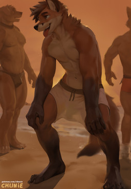 4_toes 5_fingers anthro athletic balls barefoot barely_visible_genitalia barely_visible_penis beach bottomwear bulge claws clothed clothing detailed_background feet fingers flaccid fur genitals group leg_markings male male/male male_anthro markings muscular muscular_anthro muscular_male nipples penis penis_silhouette plantigrade red_body red_fur shorts smile socks_(marking) solo_focus speedo sunset swimwear tail toe_claws toes tongue tongue_out topless topless_anthro topless_male translucent translucent_clothing trio chunie canid canine canis domestic_dog fox mammal red_fox true_fox 2025 digital_media_(artwork) digital_painting_(artwork) hi_res painting_(artwork)