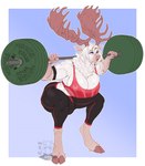 anthro antlers barbell barbell_squats biped blue_background blue_eyes bodily_fluids border breasts bulge cleavage cleavage_overflow clothed clothing cloven_hooves crouching exercise fur gynomorph hair hooves horn intersex muscular muscular_anthro muscular_gynomorph muscular_intersex simple_background solo squats sweat tan_body tan_fur weightlifting white_body white_border white_fur white_hair workout hyucaze deer mammal moose new_world_deer 2023 digital_media_(artwork) hi_res