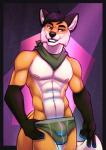 abs anthro biceps briefs briefs_only bulge clothed clothing fur hair kerchief looking_at_viewer male multi_tail nipples pecs simple_background smile solo tail topless underwear underwear_only fcsimba sabre_dacloud canid canine fox mammal red_fox true_fox digital_media_(artwork) hi_res