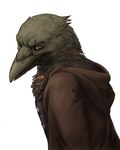 anthro black_body black_feathers cloak clothing feathers looking_at_viewer male scar simple_background solo topwear vest white_background yellow_eyes peregr1ne dungeons_and_dragons hasbro wizards_of_the_coast kleek aarakocra_(dnd) avian bird corvid corvus_(genus) crow oscine passerine 4:5 hi_res portrait