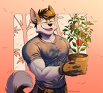 anthro bell_pepper biceps food fruit male muscular muscular_male pepper_(fruit) plant smile solo anjing_kampuss joseph_(anjing_kampuss) canid canine canis domestic_dog mammal nordic_sled_dog spitz hi_res