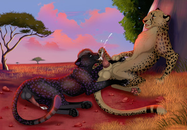 animal_genitalia animal_penis balls black_body black_ears black_fur black_nose black_pawpads blue_eyes bodily_fluids butt claws cloud cum cum_drool cum_in_mouth cum_inside cum_on_face cum_on_ground cum_on_tongue cumshot detailed_background duo ears_back ears_down ejaculation electricity erection eye_contact feline_genitalia feline_penis fellatio feral fur fur_markings genital_fluids genitals hair half-closed_eyes hand_on_hip head_tuft legs_together licking light lightning looking_at_another lying male male/male markings multicolored_body multicolored_fur narrowed_eyes nude on_back on_front open_mouth oral orgasm outside pawpads paws penile penis penis_lick pink_pawpads pink_penis pivoted_ears plant red_eyes saliva saliva_on_penis saliva_on_tongue savanna sex sky smile spots spread_legs spreading striped_markings striped_tail stripes sunset tail tail_markings tongue tongue_out tree tuft whiskers caviaporcellus27 cheetah felid feline mammal digital_media_(artwork) hi_res shaded