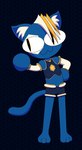 anthro bottomwear clothing hair hair_over_eye hexagon inner_ear_fluff male male_anthro mascot one_eye_obstructed simple_background solo tail topwear tuft redcrystal e621 tsukihime type-moon hexerade neco-arc felid mammal hi_res