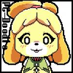 1:1 alpha_channel animal_crossing animated anthro blush buckteeth canid canine canis clothed clothing digital_media_(artwork) domestic_dog english_text exclamation_point female front_view fur hair icon isabelle_(animal_crossing) long_ears looking_at_viewer looking_down looking_up mammal multicolored_hair nintendo pc-doodle pixel_(artwork) pixel_animation ponytail shih_tzu short_playtime signature simple_background smile solo teeth text toy_dog two_tone_hair yellow_body yellow_fur