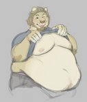 anthro belly big_belly blep blush claws clothed clothing clothing_lift fur love_handles male mane moobs nipples obese obese_anthro obese_male one_eye_closed overweight overweight_anthro overweight_male shirt shirt_lift smile solo tan_body tan_fur tongue tongue_out topwear wink yasano felid lion mammal pantherine