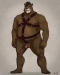 anthro balls barefoot belly biceps biped brown_body brown_fur circumcised ear_piercing feet flaccid fur genitals hair humanoid_genitalia humanoid_penis language male mohawk musclegut muscular muscular_anthro muscular_male nipple_piercing nipples nude open_mouth penis piercing simple_background slightly_chubby smile solo standing teeth taoren aikho bear brown_bear grizzly_bear mammal ursine 2012 4:5 cel_shading shaded signature