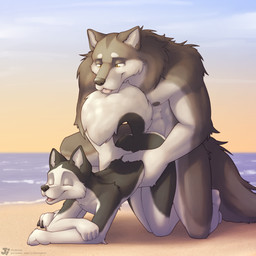 all_fours ambiguous_penetration anthro anthro_on_anthro anthro_penetrated anthro_penetrating anthro_penetrating_anthro beach countershading day doggystyle duo eyes_closed female female_penetrated flat_chested from_behind_position hip_grab larger_male looking_pleasured male male/female male_penetrating male_penetrating_female muscular muscular_anthro muscular_male nude outdoor_nudity outside penetration seaside sex size_difference sky smaller_female sunset tongue tongue_out water jishinu hana_(jishinu) ji_(jishinu) canid canine canis domestic_dog husky mammal nordic_sled_dog spitz wolf 1:1 2021 digital_media_(artwork) hi_res shaded
