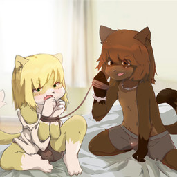 3_toes 4_fingers anthro arm_tuft bdsm bedding blanket blonde_hair blush bondage bottomwear bound boxer_briefs brown_eyes brown_hair bulge claws clothed clothing cute_fangs detailed_bulge dipstick_tail duo elbow_tuft eyebrow_through_hair eyebrows fangs feet fingers fur glistening glistening_clothing gloves green_eyes grey_boxer_briefs grey_clothing grey_underwear hair hands_tied handwear holding_object inner_ear_fluff jewelry kemono kneeling leg_markings male male/male markings multicolored_body multicolored_fur narrowed_eyes navel necklace open_mouth rope shorts simple_background sitting socks_(marking) spandex spandex_shorts tail tail_markings teeth tight_bottomwear tight_clothing tight_shorts toe_claws toes topwear translucent translucent_hair tuft two_tone_body two_tone_fur underwear underwear_only white_clothing white_topwear window young young_anthro young_male nekowuwu mike_(kichigaikitsune) tai_(kichigaikitsune) canid canine fox human mammal 1:1 2017 absurd_res hi_res
