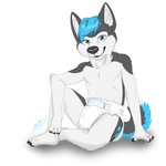 anthro black_body black_fur blue_eyes blue_hair clothed clothing diaper diaper_only ears_up fur hair looking_at_viewer male sitting smile smiling_at_viewer solo topless wearing_diaper white_body white_fur aito canid canine canis domestic_dog husky mammal nordic_sled_dog spitz 1:1 hi_res sketch