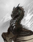 feral horn male membrane_(anatomy) membranous_wings outside simple_background snow solo wings madness_demon bethesda_game_studios microsoft mythology skyrim the_elder_scrolls paarthurnax dragon mythological_creature mythological_scalie scalie 2013