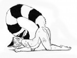 all_fours anthro ass_up black_and_white butt cacomistle chester_ringtail_magreer desiree_lee fear james_m_hardiman looking_at_viewer male mammal monochrome oh_exploitable procyonid raised_tail ringtail solo template wide_eyed

Rating: Questionable
Score: 4
User: Anomynous
Date: May 16, 2008