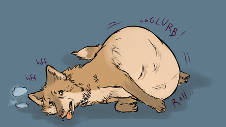 ambiguous_gender belly big_belly bloated breath digestion feral lying on_side panting rumbling_stomach solo vore 934 canid canine mammal 2017