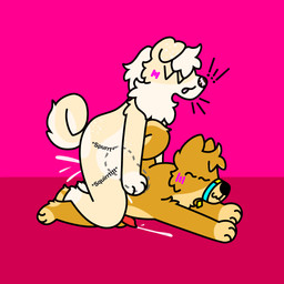 anthro bodily_fluids cum cum_inside cum_while_penetrated curled_tail duo ejaculation fur genital_fluids genitals knot male male/male on_top penetration penis slightly_chubby tail white_body white_fur yellow_body yellow_fur doug_polaris doshiba_solaris shiroi_yuki canid canine canis domestic_dog mammal shiba_inu spitz absurd_res hi_res