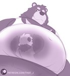 anthro belly clothing entrapment fupa inside_clothing inside_shirt looming male micro moobs moonbear navel overweight overweight_male slightly_chubby smile smirk smothering squish stuck text translucent that_j bear mammal hi_res url