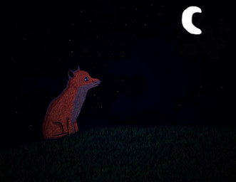 ambiguous_gender blue_eyes dark feral grass hill lonely moon night outside plant solo star unknown_artist canid canine fox mammal hi_res