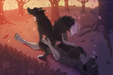 4_toes anal anal_penetration animal_genitalia anthro anthro_on_feral anthro_penetrating anthro_penetrating_feral bestiality bodily_fluids canine_genitalia cum cum_leaking_out digitigrade duo feet feral feral_penetrated forest forest_background genital_fluids genitals hands_on_hips knot knotted_penis looking_at_another looking_at_partner looking_back looking_back_at_another looking_back_at_partner male male/male male_penetrated male_penetrating male_penetrating_male muscular muscular_male nature nature_background on_bottom on_top penetration penis plant plantigrade raised_tail reverse_cowgirl_position sex sunset tail toes tree omalakai alder_(alderdrack) canid canine canis mammal wolf 3:2 hi_res