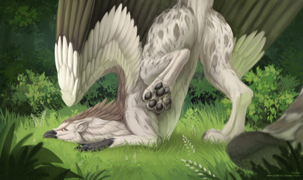 beak black_beak black_claws claws feral forest forest_background fur grass grey_body grey_fur grey_pawpads male nature nature_background pawpads plant solo tree white_body white_fur conditional_dnp ztalex mythology avian gryphon mythological_avian mythological_creature hi_res