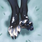1:1 2020 4_toes abstract_background ambiguous_gender anthro beastfromhell black_body black_fur black_pawpads claws feet foot_focus foot_shot fur hi_res mammal pawpads paws simple_background snow soles solo toe_claws toes white_body white_fur
