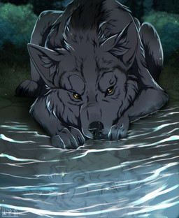 black_body black_fur black_nose cheek_tuft facial_tuft feral fluffy fur grey_body grey_fur looking_at_viewer lying male on_front reflection solo tuft water yellow_eyes shyryp canid canine canis mammal wolf absurd_res digital_media_(artwork) hi_res huge_filesize