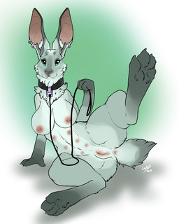 anus breasts collar ear_piercing ear_ring female genitals leash long_ears nipple_piercing nipples piercing ring_piercing short_tail solo tail tail_anus teats vulva wanderlustdragon hare lagomorph leporid mammal 4:5 absurd_res hi_res