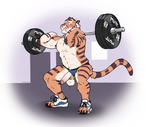 anthro ball_stretcher balls barbell blush brown_body brown_fur butt clothed clothing countershade_arms countershade_balls countershade_butt countershade_crotch countershade_face countershade_genitalia countershade_hands countershade_neck countershade_torso countershading crouching erection exercise foreskin fur genital_piercing genitals humanoid_genitalia humanoid_penis jockstrap jockstrap_only male male_anthro muscular muscular_anthro muscular_male nipples orange_body orange_fur penis penis_piercing piercing pink_penis prince_albert_piercing solo striped_body striped_fur stripes tan_body tan_fur tan_penis topless underwear underwear_only wardrobe_malfunction weightlifting whisker_spots workout labradorszn kivi_(kivitgr) felid mammal pantherine tiger 2025 hi_res