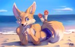 anthro beach black_nose clothed clothing dipstick_tail fur markings outside paws seaside swimwear tail tail_markings zephyxus rennearc canid canine fennec_fox fox mammal true_fox 2020 absurd_res hi_res