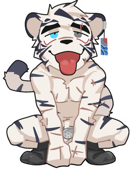 black_clothing black_footwear black_socks chastity_cage chastity_device chibi clothing crouching ear_piercing ear_tag eye_roll fist flat_chastity_cage footwear front_view hands_on_ground heterochromia male nude piercing scar simple_background socks solo tongue tongue_out white_background duolai8 qibajiu_(qibajiutts) felid mammal pantherine tiger hi_res
