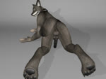 2008 3d_(artwork) 3d_animation 4:3 all_fours animal_genitalia animal_penis animated anthro anus anus_focus balls butt canid canine canis digital_media_(artwork) erection genitals h0rs3 knot male mammal no_sound nude pawpads paws penis raised_tail short_playtime simple_background solo tail tail_motion tailwag webm wolf