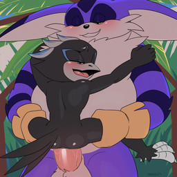 3_toes anal anal_penetration anthro anthro_on_anthro anthro_penetrated anthro_penetrating anthro_penetrating_anthro avian_feet big_ears black_body blue_eyes blush duo feathered_tail feathers feet holding_both_legs holding_partner holding_partner's_leg male male/male male_penetrated male_penetrating male_penetrating_male one_eye_closed open_mouth outside_sex penetration penile penile_penetration penis_in_ass purple_body sex size_difference smaller_penetrated smile stand_and_carry_position standing standing_sex tail toes tongue yellow_eyes krazyelf sega sonic_the_hedgehog_(series) big_the_cat caust avian bird corvid domestic_cat felid feline felis magpie_(corvid) mammal oscine passerine 1:1 2026 2d_animation animated digital_media_(artwork) frame_by_frame hi_res