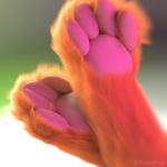 4_toes ambiguous_form ambiguous_gender close-up depth_of_field feet foot_focus foot_shot fur hindpaw orange_body orange_fur pawpads paws paws_only realistic soles solo toes kazzypoof mammal 1:1 3d_(artwork) 3d_animation animated digital_media_(artwork) loop seamless_loop short_playtime