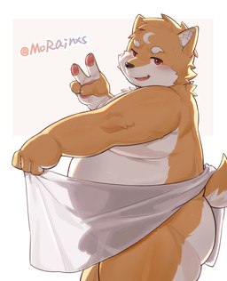 anthro balls_outline bodily_fluids border bulge cheeky detailed_bulge fangs flaccid fur genital_outline genitals gesture hand_gesture holding_object holding_towel looking_at_viewer male nude_male open_mouth orange_body orange_fur overweight overweight_male penis penis_outline side_view solo sweat tail teeth tongue towel v_sign white_body white_border white_fur morain_xs canid canine canis domestic_dog mammal 2026 chinese_description hi_res