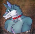 anthro collar lupis male solo thehuntingwolf lobo snowwhitepaw canid canine canis mammal sergal wolf lucifer_(disambiguation) hi_res