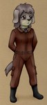 anthro biped black_boots black_clothing black_footwear black_nose boots clothed clothing collar_tag countershade_face countershading eyebrows female floppy_ears footwear grey_body grey_hair hair hands_behind_back jumpsuit mouth_closed shoes short_hair solo standing tan_body young young_anthro animew biske_linu_(animew) canid canine canis domestic_dog mammal 2023 hi_res