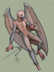 anthro beak feathered_wings feathers feet flaccid genitals looking_at_viewer male nude penis prehensile_feet small_penis solo toes wings seraph xaxoqual avian bird columbid dove turtle_dove