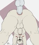 anal anal_penetration anthro balls butt duo erection fur genitals hair hair_over_eyes male male/male male_penetrated male_penetrating muscular muscular_male nipples nude open_mouth penetration penile penis sex simple_background delta_dewitt beastars collot_(beastars) canid canine canis domestic_dog herding_dog mammal old_english_sheepdog pastoral_dog sheepdog digital_media_(artwork) hi_res