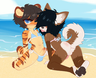anthro anus arm_support assisted_exposure backsack balls barely_visible_anus beach bent_over bikini bikini_pull black_hair blue_bikini blue_clothing blue_eyes blue_swimwear blush bodily_fluids bottomless brown_body brown_fur butt clothed clothing clothing_pull countershading crossdressing day dripping duo erection eyebrow_through_hair eyebrows feet fingers foreskin fur genitals gradient_bikini hair hair_over_eyes kneeling looking_at_viewer looking_back male male/male mouth_closed navel one_eye_obstructed orange_body orange_fur outside pawpads penis sand side-tie_bikini sitting sky string_bikini striped_body striped_fur stripes sweat swimwear swimwear_pull tail tongue tongue_out translucent translucent_hair two-piece_swimsuit water young young_anthro young_male aoizuri ken_(claralaine) oro_(ungoliant) canid canine canis domestic_cat domestic_dog felid feline felis mammal 2019