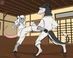 anthro clothed clothing dojo duo eye_contact fight fighting_pose fur grey_body grey_fur inside kick looking_at_another pawpads pose smile standing foxenawolf kabu_luwak mammal murid murine rat rodent sergal adversarial_noise