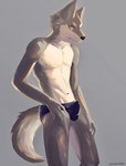 anthro balls_outline briefs bulge clothed clothing detailed_bulge fur genital_outline grey_body grey_fur looking_at_viewer male multicolored_body navel sheath_outline simple_background solo standing two_tone_body underwear underwear_only white_body white_fur wolftea42 canid canine canis mammal wolf absurd_res hi_res