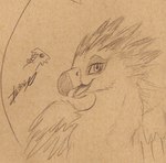 beak eye_markings feathered_crest feathered_wings feathers head_crest male markings solo wings xeirla mythology saewin avian gryphon mythological_avian mythological_creature hi_res