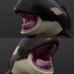 ambiguous_gender black_body feral mouth_shot open_mouth pink_tongue sharp_teeth simple_background solo tan_teeth teeth three-quarter_view tongue unsigned white_body acidic aquatic cetacean dolphin mammal oceanic_dolphin orca toothed_whale 1:1 3d_(artwork) digital_media_(artwork) hi_res