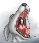 ambiguous_gender anthro arctic_fox body_in_mouth canid canine digital_media_(artwork) duo erection extreme_size_difference fangs forceswerwolf fox gaping_mouth genitals grinding_on_tongue hybrid in_mouth in_throat male male/ambiguous mammal mouth_shot open_mouth oral_vore oversized_fellatio oversized_oral palate penis penis_on_tongue size_difference skunkhase swiftayama teeth tongue tongue_fucking true_fox vore