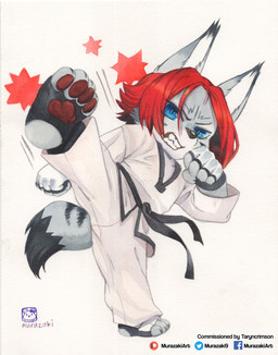 anthro biped chibi clothed clothing feet fluffy fluffy_tail fur hair keikogi kick looking_at_viewer male martial_arts_uniform pawpads paws sharp_teeth simple_background solo sportswear standing tail teeth toes white_background murazaki taryn_crimson felid feline lynx mammal absurd_res hi_res painting_(artwork) traditional_media_(artwork) traditional_painting_(artwork) traditional_watercolor_(artwork) watercolor_(artwork)