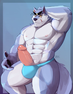 abs anthro barazoku biceps biped clothed clothing erection eyewear eyewear_on_head genitals glans grey_tail hand_behind_head humanoid_genitalia humanoid_penis male muscular muscular_anthro muscular_male muscular_thighs nipples penis speedo speedo_only sunglasses sunglasses_on_head swimwear tail topless radcanine dislyte lilith_games freddy_(dislyte) canid canine canis mammal wolf absurd_res colored hi_res signature